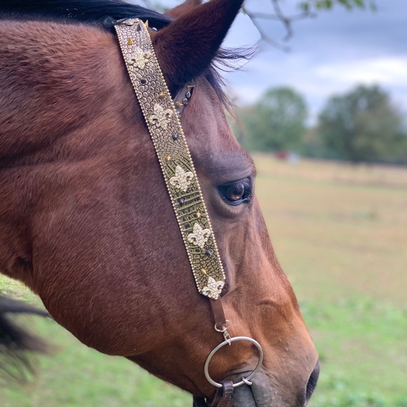 unbranded Other - Horse tack headstall for sale